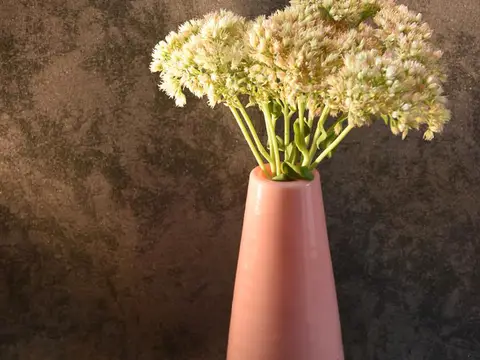 تصویر 5